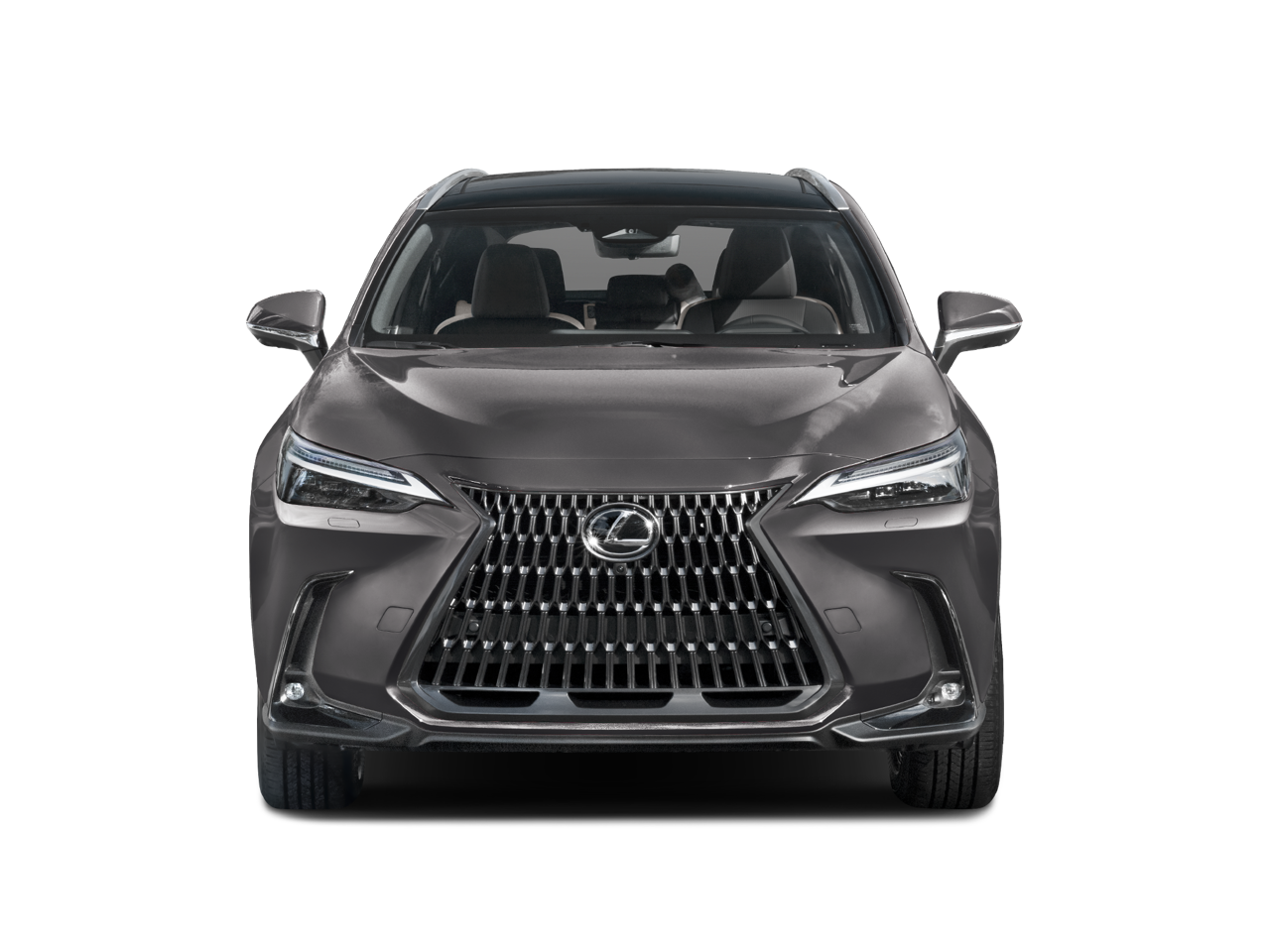2024 Lexus NX LUXU