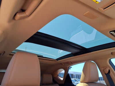 2024 Lexus NX LUXU
