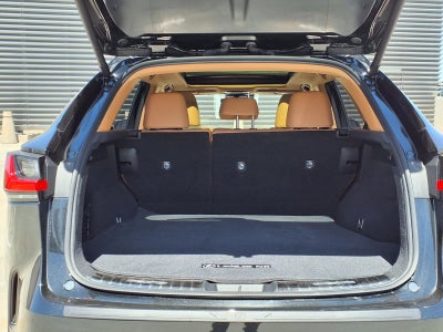 2024 Lexus NX LUXU