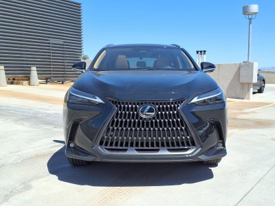 2024 Lexus NX LUXU