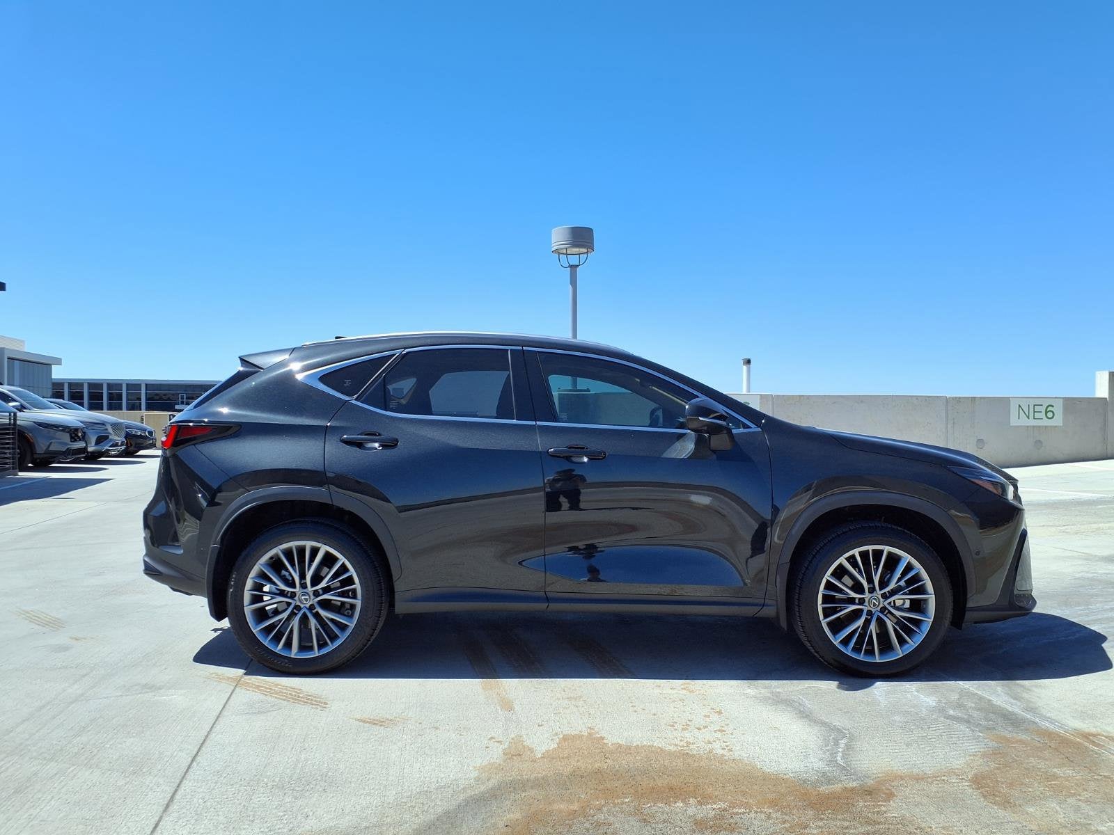 2024 Lexus NX LUXU